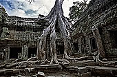 Ta Prohm temple - the imposing eastern gopura of the fourth enclosure